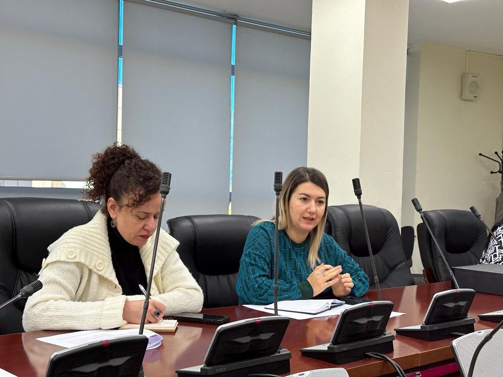 Mbledhje e grupit të punës për platformën ViC – Universiteti i Elbasanit